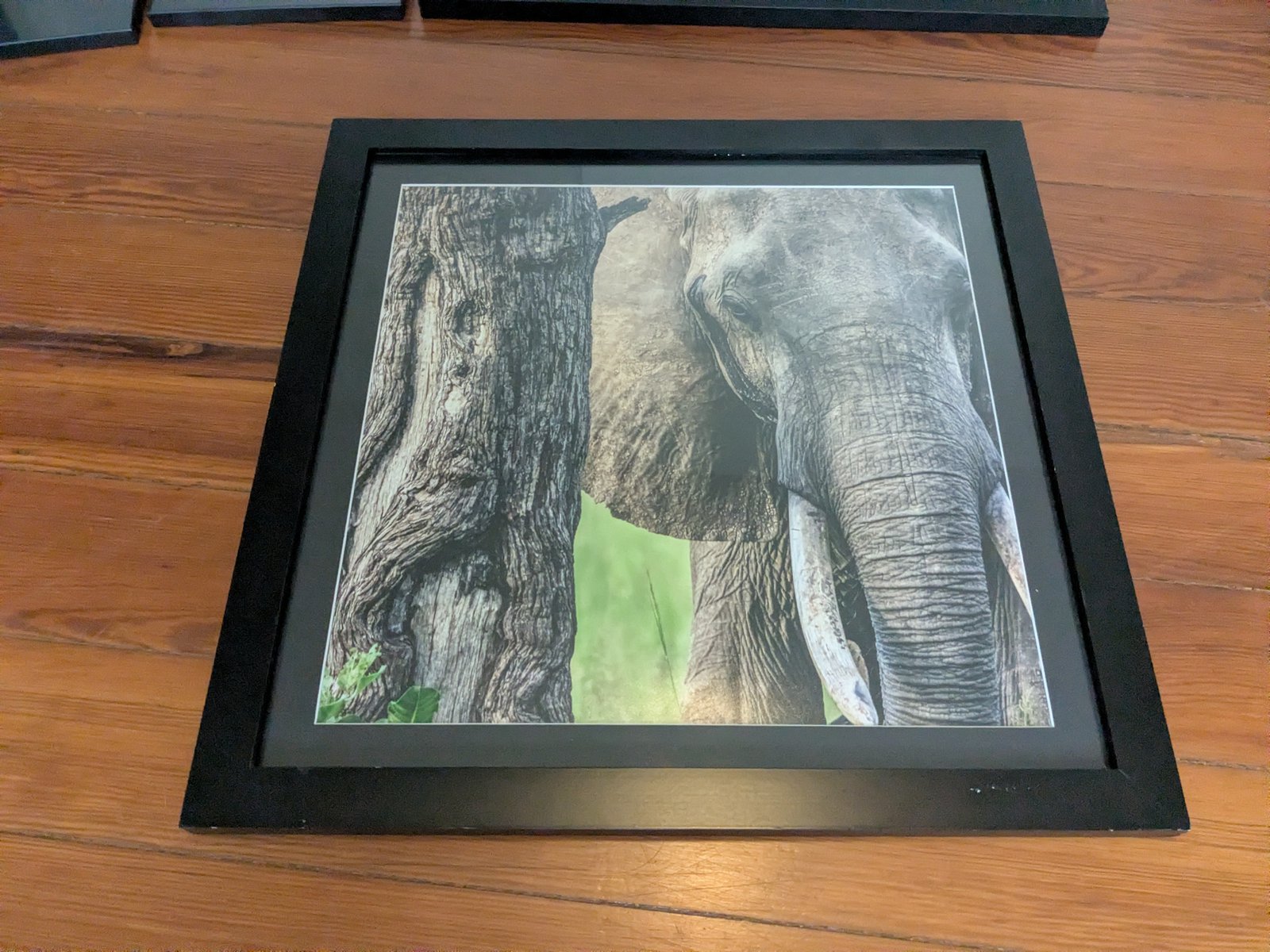 Framed Wall Art